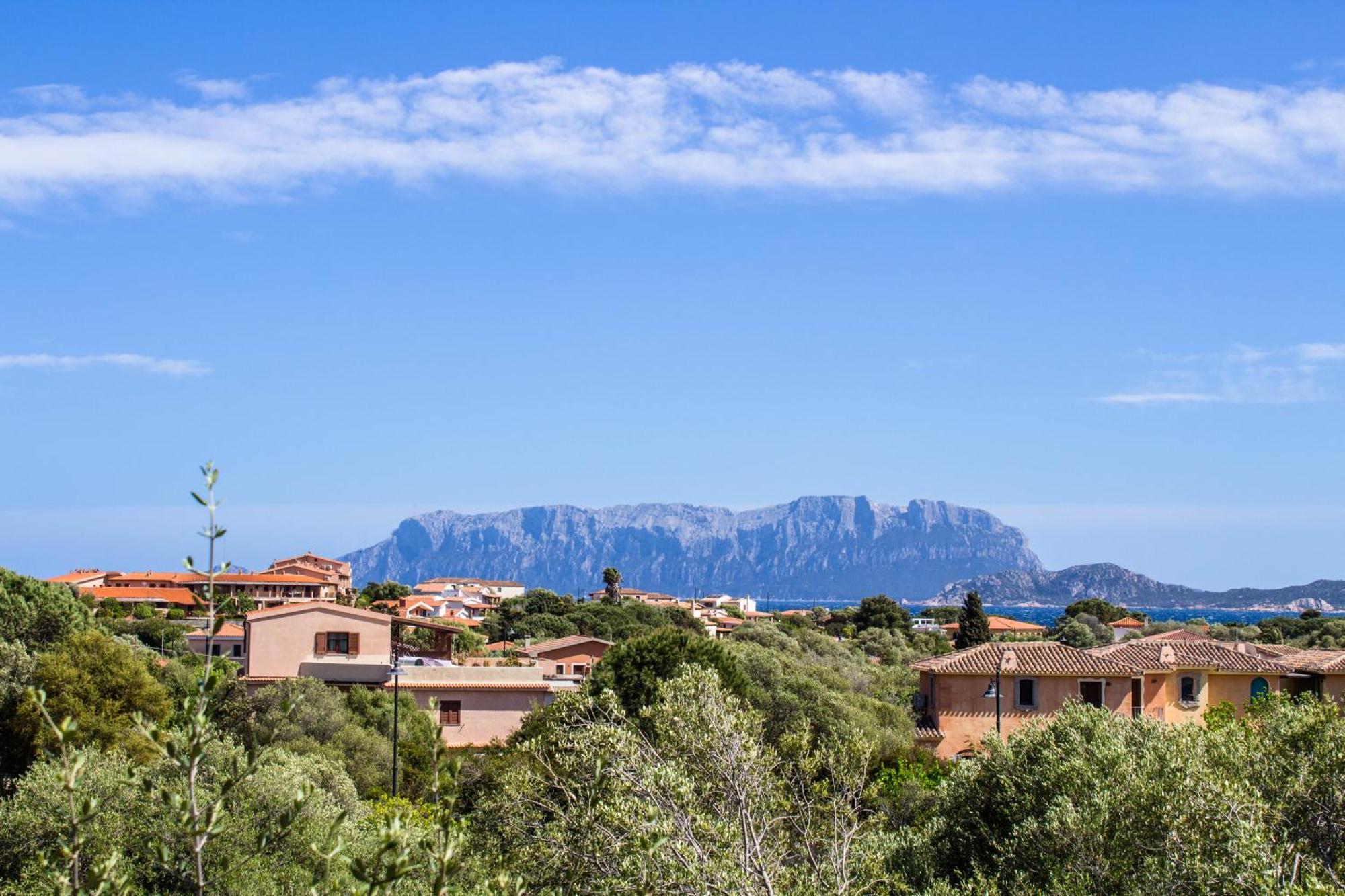 فيلا Rovo House, Pittulongu, Olbia, Sardinia المظهر الخارجي الصورة