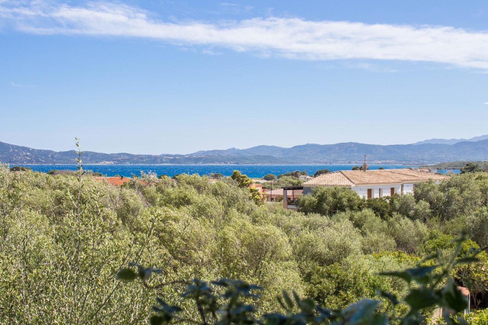 فيلا Rovo House, Pittulongu, Olbia, Sardinia المظهر الخارجي الصورة
